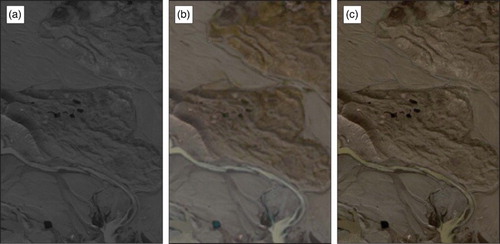 Figure 4. Comparison of the processed satellite imagery used during the mapping process. (a) Panchromatic satellite image (0.5 m GSD). (b) Multispectral satellite image (2.0 m GSD). (c) Pansharpened three-band natural colour image (0.5 m GSD).