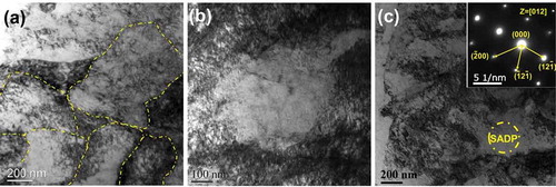 Figure 5. TEM images of AF specimen: (a) BF-TEM image taken from the horizontal cross-section showing cellular structures, (b) zoom-in image of (a) showing high-density dislocations, and (c) BF-TEM image with corresponding SAED taken from the vertical cross-section exhibiting acicular martensites.