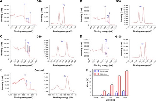 Figure 4 Characterization of Ag by XPS at different concentrations (A–D). Characterization of pure Ti by XPS. (E) Ag contents of C, G20, G50, G80, G100 (F). There are significant differences between the intra group and inter group (“##”, “@@”), respectively (P<0.001). The 20, 50, 80 and 100 µg/mL are designated as G20, G50, G80, and G100, respectively.Abbreviations: Ag, silver; Conc, concentration; GO, graphene oxide; Ti, titanium; XPS, X-ray photoelectron spectroscopy.