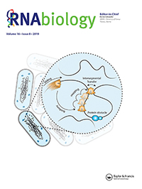 Cover image for RNA Biology, Volume 16, Issue 8, 2019
