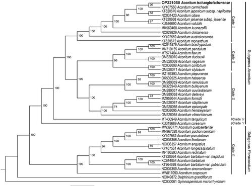 Figure 4. Maximum-likelihood (ML) tree based on complete chloroplast genome of 42 taxa including A. tschangbaischanense. We directly listed the cited publications used in the phylogenetic tree in the references part.