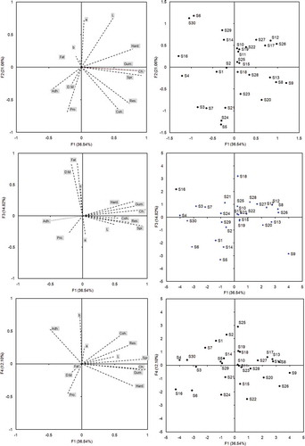 FIGURE 1 Plot of the PCs loading and score vectors.