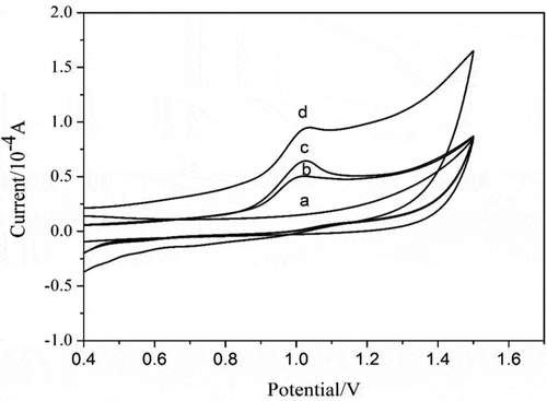 Figure 5. Cyclic voltammograms of BR buffer solution (pH 2.0) with (a) the absence of sulfonamide at bare GCE, (b) containing 0.1mM sulfonamide at bare GCE, (c) Gr/GCE and (d) Gr/Fe3O4/GCE.