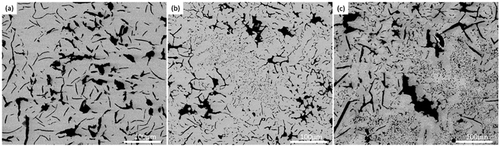 Figure 8. SEM micrograph of Fe-1.46 wt%Mn-2.69 wt%Si-Csat-N alloy at (a) 900, (b) 700 and (c) 500°C