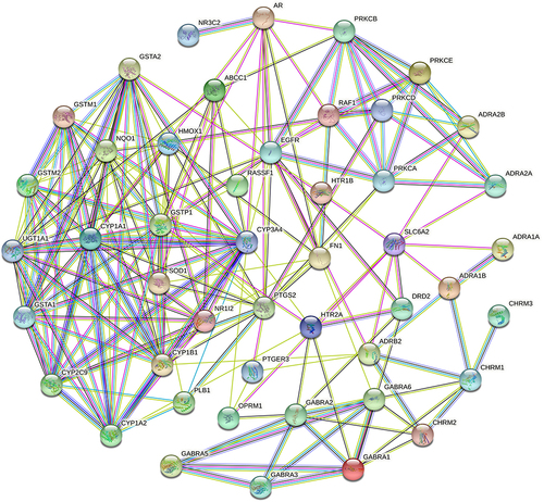 Figure 9 The “Protein-protein-interaction” network with target proteins co-targeted by compounds and metabolites. Purple edges: known Interactions (from curated databases). Pink edges: known Interactions (experimentally determined). Green, red and blue edges: Predicted Interactions.