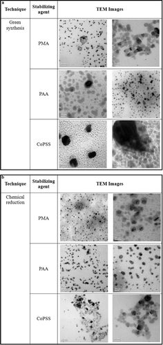 Figure 2. TEM images of (a) green synthesised silver nanoparticles and (b) chemical reduction of silver nanoparticles.