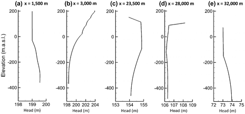 Figure A1. Simulated hydraulic head profiles within the two-dimensional cross-section in different hydrogeological settings: (a) discharge zone under Lake Johnson, (b) recharge zone, (c) artesian conditions, (d) non-artesian conditions in the confined aquifer, and (e) discharge zone under the Ottawa River.