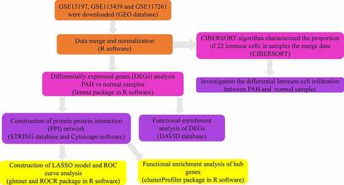 Figure 1. The workflow of this study