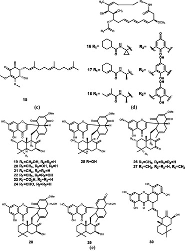 Figure 2. Chemical structures of quinones extracts from (a) A. camphorata (15); (b) Streptomyces sp. (16–18); (c) Dichrostachys cinerea (19–30).
