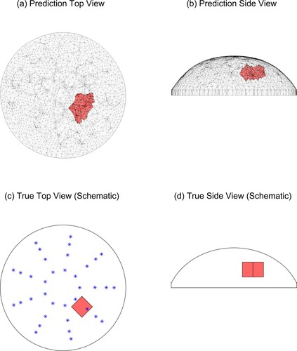 Figure 11. Predicted and true results for Tumour C, test 4. (‘*’ denotes the location of the indenter centres. Note that the vertical line in the middle of the tumour in (d) is the corner of the cube.)