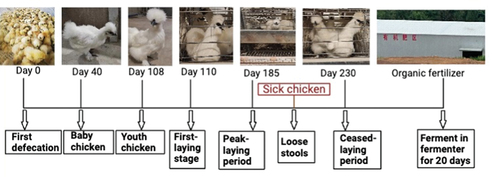 Figure 1. Sample acquisition time point.