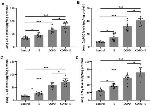 Figure 6 NOD1 activation exaggerated CS-induced pulmonary inflammatory responses. Three months after CS inhalation, pulmonary Ccl-2 (A), Cxcl-10 (B), IL-1β (C) and IFN-γ (D) were measured by ELISA. Data shown are mean ± SD. n = 10 for each group. *p < 0.05, **p < 0.01, ***p < 0.001. One-way ANOVA followed Dunn’s multiple comparisons test.