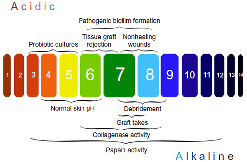 Figure 2 The importance of managing pH in chronic wound infections.