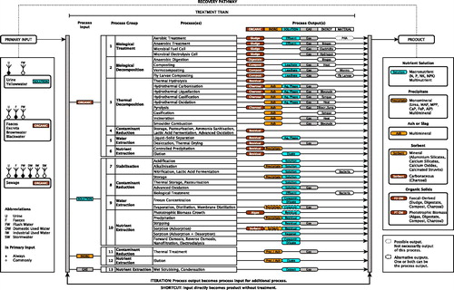 Figure 4. Option space for nutrient recovery. Note that the option space presented here can easily be extended to accommodate additional primary inputs, products, and treatment processes, in order to also map novel recovery pathways.