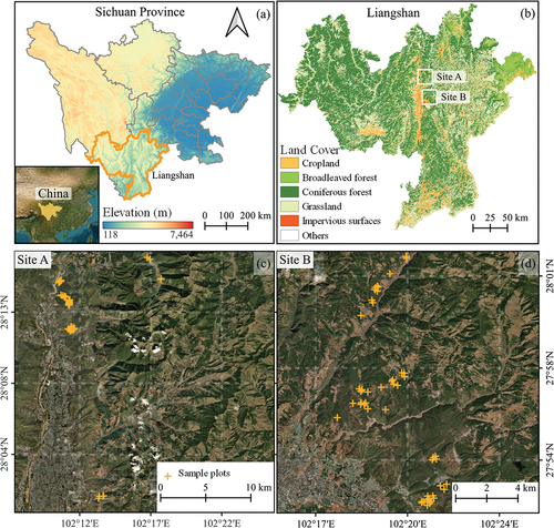 Figure 1. Location of the study area; (a) the DEM of Sichuan Province (NASADEM (accessed via: https://www.earthdata.nasa.gov/esds/competitive-programs/measures/nasadem)); (b) the land-cover distributions of Liangshan Yi Autonomous Prefecture and the location of two field campaigns (GLC_FCS30, from Zhang et al. (Citation2021b)); (c) geographic locations of sample plots in the first field campaign in December 2020; (d) geographic locations of sample plots in the second campaign in March 2021. The background map in subfigures (c-d) is from the Esri World Imagery (accessed via: https://www.arcgis.com/home/item.Html?id=10df2279f9684e4a9f6a7f08febac2a9).