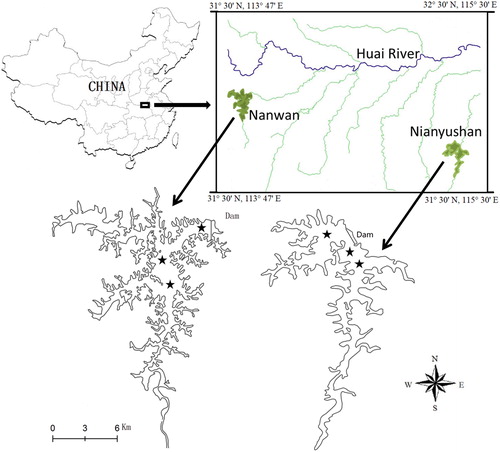 Figure 1. Location of the Nanwan and Nianyushan reservoirs and sampling sites (★).