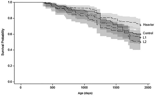 Figure 8. Retention curves and 95% confidence intervals (grey area) of the ewes based on treatments (Heavier vs. Control vs. L1 vs. L2) until weaning of their fifth litter (d1882). Heavier: ewes born as twins to mixed-age ewes and grown to 48 kg by ewe lamb breeding (d209); Control: ewes born as twins to mixed-age ewes and grown to 44 kg by d209; L1: ewes born to ewe lambs as singletons; L2: ewes born to ewe lambs as twins. Ewes were only culled for welfare reasons.