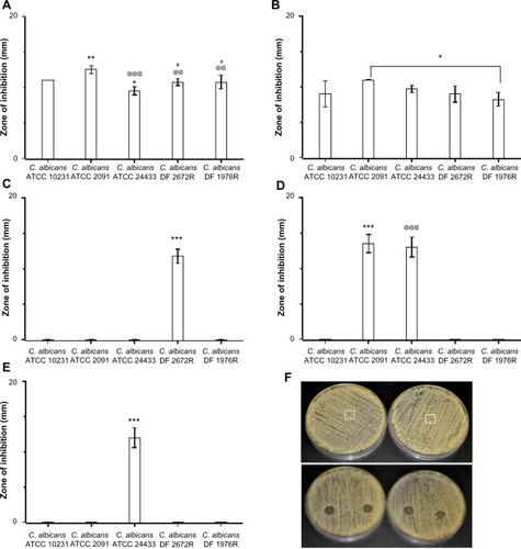 Figure 3 Efficacy of drug-loaded gelatin fiber mats against yeast strains. The antifungal activity against Candida albicans strains is expressed as the zone of inhibition measured by radial diffusion assay. Fiber mats loaded with (A) amphotericin B (*P<0.05 compared to C. albicans ATCC 10231 strains; **P<0.01 compared to C. albicans ATCC 10231 strains; @@P<0.01 compared to C. albicans ATCC 2091 strains; @@@P<0.001 compared to C. albicans ATCC 2091 strains; #P<0.05 compared to C. albicans ATCC 24433); (B) natamycin (*P<0.05 compared to C. albicans ATCC 10231 strains); (C) terbinafine (***P<0.001 compared to all the groups); (D) itraconazole (***P<0.01 compared to all the groups except C. albicans ATCC 24433 strains; @@@P<0.001 compared to all the groups except C. albicans ATCC 2091 strains); and (E) fluconazole. ***P<0.001 compared to all the groups. (F) Representative photographs showing the zone of inhibition of gelatin (upper panel) and amphotericin B-loaded gelatin (lower panels) fiber mats.Note: The absence of bars in the graph indicates no inhibition against the particular strain.Abbreviation: ATCC, American Tissue Culture Collection.