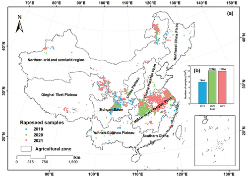 Figure 6. (A) Spatial distribution of generated rapeseed samples; (b) Number of generated rapeseed samples for 2019–2021.