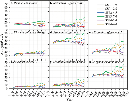 Figure 5. Comparison of the temporal trends of land areas suitable for eight bioenergy crops under the six considered scenarios during 2020–2100.