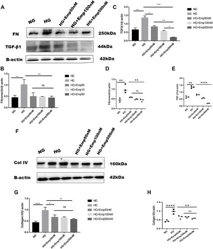 Figure 4 Continued.