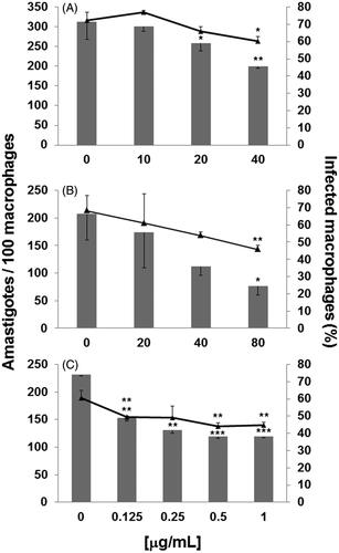 Figure 3. Effect of C. sinensis on L. amazonensis intracellular amastigotes. Raw 264.7 macrophages previously infected with L. amazonensis promastigotes were treated with C. sinensis extracts, CH (A) and CD/Et (B), or with the reference drug amphotericin B (C) for 48 h. The number of internalized amastigotes per 100 macrophages was determined by direct count under a light microscope. Each bar represents the mean ± standard error of at least two independent experiments. Statistical analysis of the differences between mean values obtained for the experimental groups was done by Student’s t-test. p-Values ≤0.05 (one asterisk), ≤ 0.005 (two asterisks) and ≤0.0001 (three asterisks) were considered significantly different from that for the control.