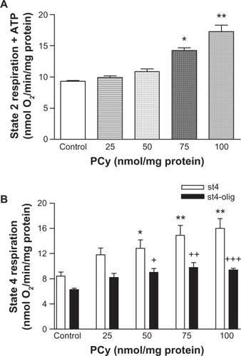 Figure 5 Effect of p-cymene (PCy) on state 2 plus ATP (A) and on state 4 respiration in the presence of oligomycin (st4-olig) (B). State 2 respiration was determined after energization of liver mitochondria with glutamate/malate and state 4 respiration after phosphorylation of ADP. State 4 respiration in the presence of oligomycin (st4-olig) was induced by the addition of ADP and oligomycin after the steady state of oxygen consumption characteristic of state 4 respiration had been reached.