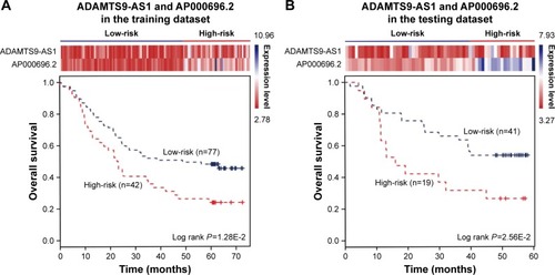 Figure 4 The combination of two novel lncRNAs predicts the clinical outcomes of ESCC patients. The expression profiles of the lncRNAs are shown in the top panel. Kaplan–Meier survival curves shown by the combination of ADAMTS9-AS1 and AP000696.2 were able to distinguish patients with different clinical outcomes in (A) the training dataset (119 patients) and (B) the testing dataset (60 patients). The survival months are shown along the x-axis, and overall survival rates are shown along the y-axis.