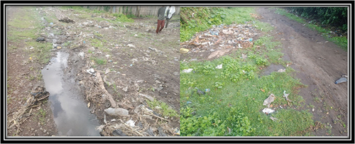 Figure 10. Waste was irregularly thrown at water-logged areas near residences (field survey, 2023).