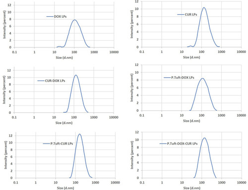 Figure 2 Size determination of LPs.