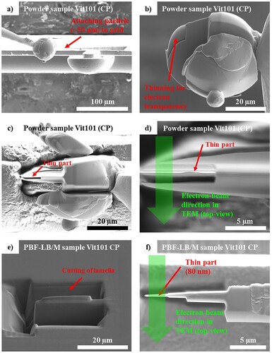 Figure 5. SEM images of the main steps regarding TEM lamella preparation of (a–d) powder and (e–f) PBF-LB/M samples of CP Vit101 alloy.