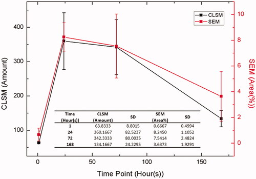 Figure 5. Summary of the bacterial adhesion results evaluated by CLSM (live plus died) and SEM images in different cell incubation times.