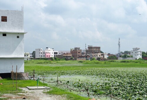 Figure 7. The western edge of the Barharia cluster, showing recent new construction along the urban development boundary in 2019.Source: Photo by authors.