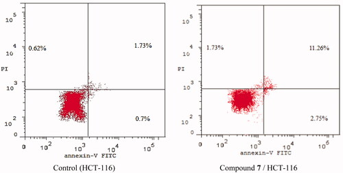 Figure 5. Apoptosis effect of compound 7 in HCT-116 cells.