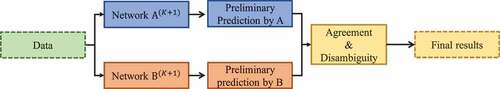 Figure 3. Agreement and disambiguity between two base networks. The agreement and disambiguity operation generates the final results by considering both the preliminary predictions generated by Networks A and B.