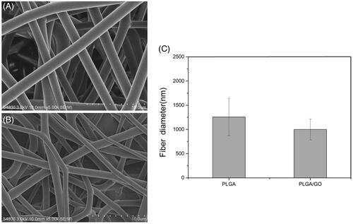 Figure 1. Scanning electron microscopy images of nanofibers. (A) PLGA nanofibers. (B) PLGA/GO nanofibers. Bar lengths are 10 μm. (C) Average fiber diameter of PLGA and PLGA/GO nanofibers.