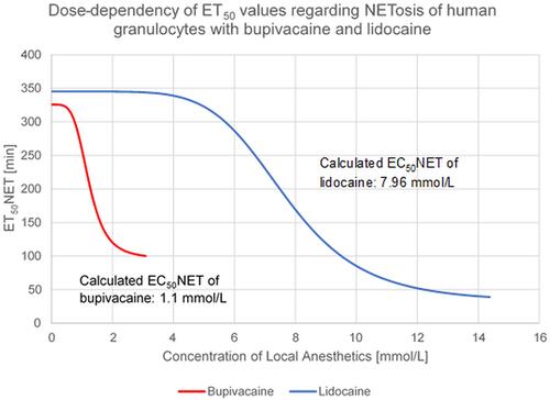 Figure 4 Fitted curves of the LA dependent concentrations – ET50 connection indicating the induction of NETosis of human granulocytes by bupivacaine and lidocaine.
