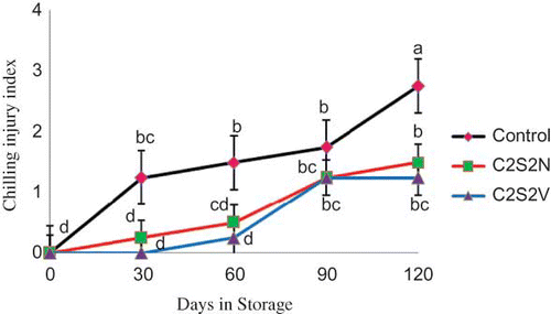 FIGURE 2 Effect of 2% CaCl2 in combination with 2 mM spermidine by normal dip and vacuum infiltration methods on changes in chilling injury index of pomegranate fruit during storage at 2°C. Each value is the mean of three replicate samples ±S.E. Values labeled with the same letters are not different at the 5% level (color figure available online).