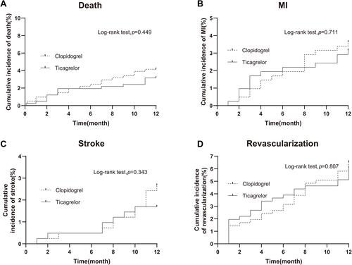 Figure 3 Cumulative incidence of death (A), myocardial infarction (B), ischemic stroke (C), and any revascularization (D) during 12 months follow-up for ticagrelor vs clopidogrel based dual antiplatelet therapy in propensity-matched patients depicted by Kaplan–Meier survival curves.