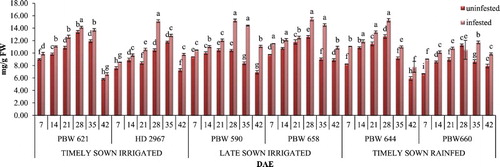 Figure 3. Change in tannin content in uninfested and infested developing flag leaves of wheat genotypes at different growth stages. Error bars denote ±SD of three replicates, bars with same letter(s) at particular day are not significantly different at P ≤ .05 (CD at 5% between ABC = 0.58; A: timely sown irrigated; B: late sown irrigated; C: timely sown rainfed).