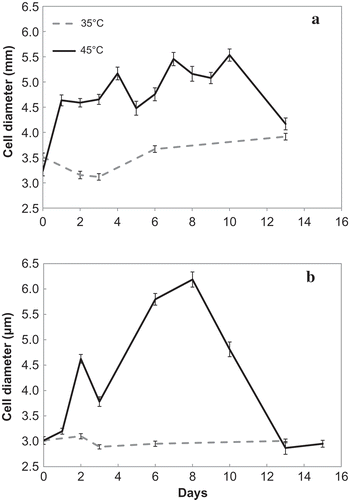 Fig. 5. Changes in ACD in the (a) TvB and (b) SH strains, exposed to OT of 35ºC and SOT of 45ºC at maintenance salinities: 75% SW for TvB and 50% SW for SH. Bars represent standard error.