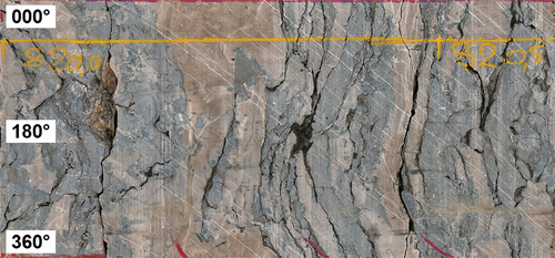 Fig. 8. Unwrapped (360-deg) high-resolution scan of a drill core from the deep exploratory drilling campaign.