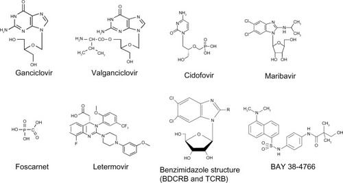 Figure 1 Representation of the different anti-CMV antivirals currently in use as well as letermovir, benzimidazole structure (BDCRB and TCRB), and the sulfonamide BAY 38-4766.Abbreviations: CMV, cytomegalovirus; TCRB, 2,5,6-trichloro-1-β-D-ribofuranosyl benzimidazole; BDCRB, 2-bromo-5,6-dichloro-1-(β-D-ribofuranosyl)benzimidazole.