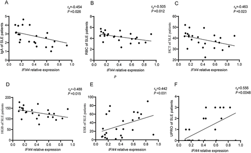 Figure 6 Correlation analysis of IFI44 expression level and clinical indicators in SLE patients. IFI44L had negative correlation with IgA, RBC, HCT, HGB (A–D), and had positive correlation with ESR and UPRO (E and F) in SLE patients.