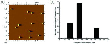 Figure 2 (a) AFM image of native iron nanoparticles and (b) its particle size distribution. For size distribution analysis, the diameter of approximate 100 particles were analysed.