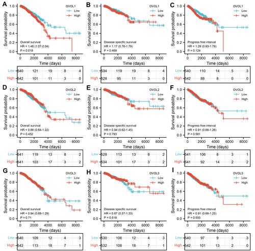 Figure 5 The expression of OVOLs is associated with poor OS in patients with BRCA. Overall survival in BRCA for (A) OVOL1, (D) OVOL2, and (G) OVOL3. Disease-specific survival in BRCA for (B) OVOL1, (E) OVOL2, and (H) OVOL3. Progress free survival in BRCA for (C) OVOL1, (F) OVOL2, and (I) OVOL3. 
