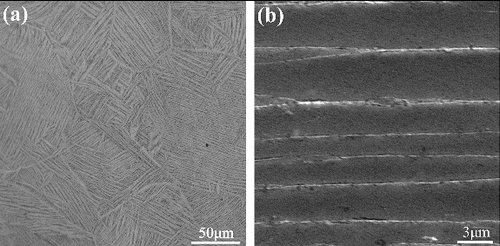 Figure 2. (a) Optical image of as-quenched sample and (b) SEM image of as-quenched sample with higher magnification.