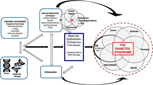 Figure 1 Overlapping pathophysiologic mechanisms that lead to the diabetes syndrome.