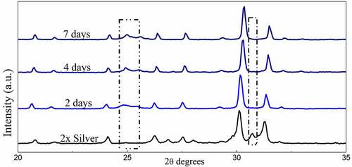 Figure 8. X-ray diffraction pattern of 2x silver substituted samples after simulated body fluid immersion