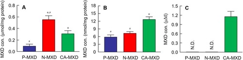 Figure 3 MXD contents in the hair bulb (A), skin tissue (B) and blood (C) of C57BL/6 mice treated with MXD formulations.Notes: The MXD was applied for 4 h. n=5–7. P-MXD, P-MXD-applied mice. N-MXD, N-MXD-applied mice. CA-MXD, CA-MXD-applied mice. N.D., not detectable. *P<0.05 vs P-MXD for each category. #P<0.05 vs CA-MXD for each category. MXD contents in the skin tissue of N-MXD were lower in CA-MXD. Conversely, the MXD contents in the hair bulbs were higher in N-MXD than in CA-MXD. In the blood, MXD was detected only in CA-MXD.Abbreviations: CA-MXD, commercially available minoxidil formulation; MXD, minoxidil; N-MXD, formulation based on minoxidil nanoparticles; P-MXD, formulation based on minoxidil powder.